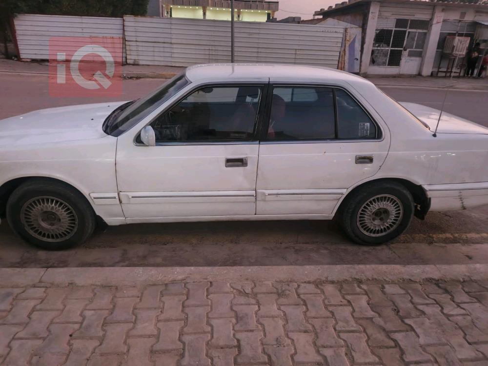 كيا بوتينشيا